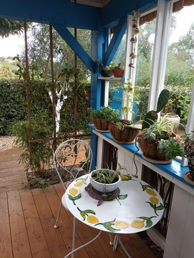 La Cabane Du Pecheur Meze Luaran gambar